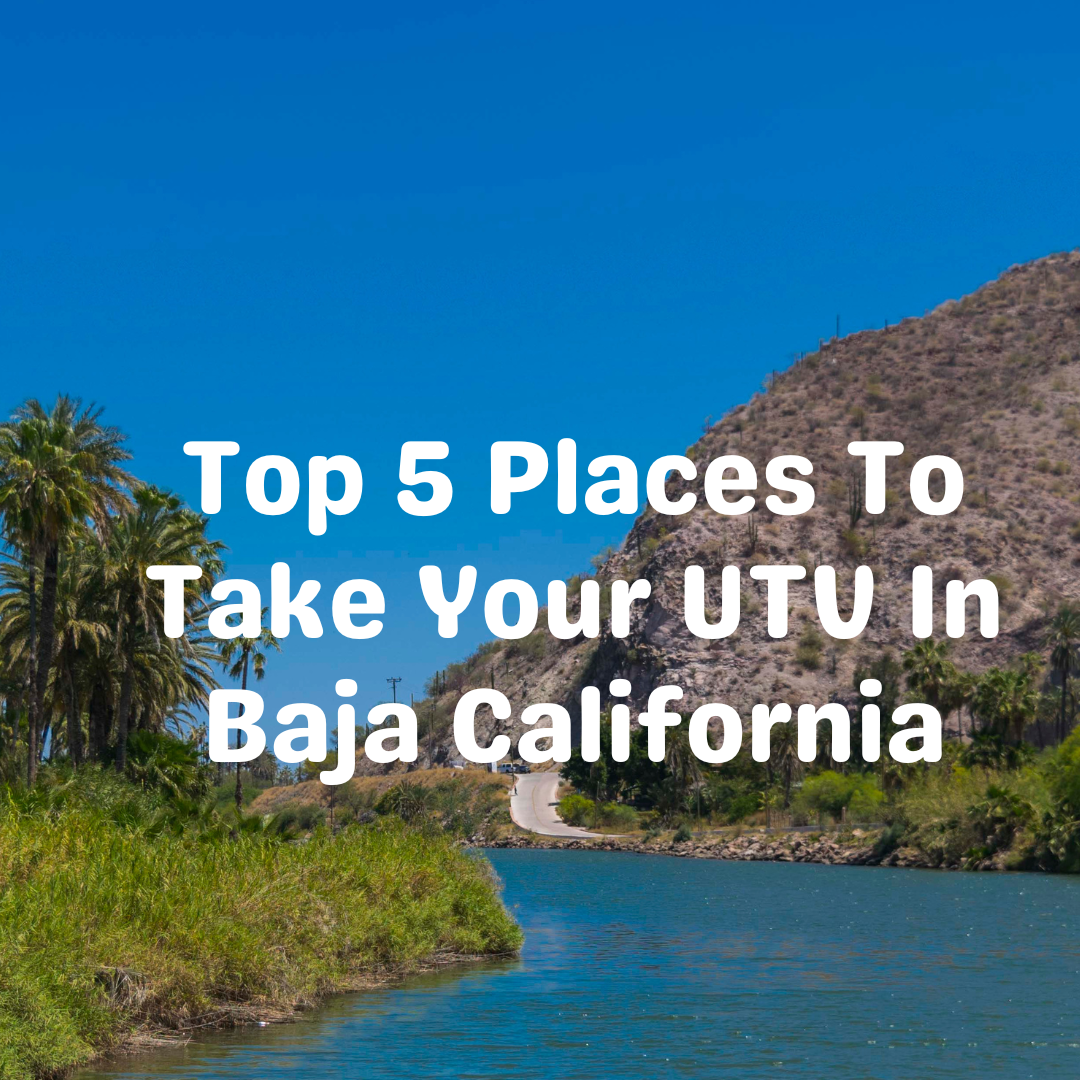 Baja California UTV Guide: From Top To Bottom